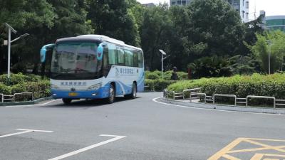 视频-青春邂逅盛夏 大学生志愿者齐聚通城守护缤纷暑假 