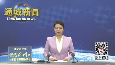 视频-2026现代商贸物流高质量发展大会暨第六届运力生态大会在通城举行