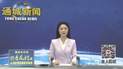 视频-通城县大坪乡花墩村：颂党旋律激昂 文明新风唱响 