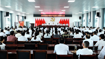 通城县大坪乡召开庆祝中国共产党成立105周年大会