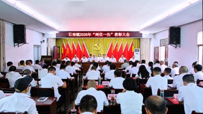 通城县石南镇召开庆祝中国共产党成立105周年暨“两优一先”表扬大会