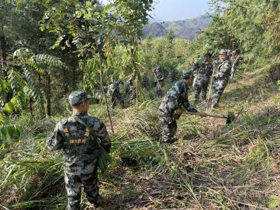 @崇阳人 崇阳民兵组织 期待你的加入！