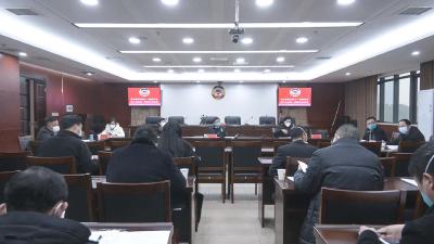 政协崇阳县第十一届委员会第二次会议分联组讨论