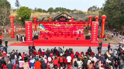 【新春走基层⑮】崇阳：赏民俗 打年货 土味“村晚”年味浓