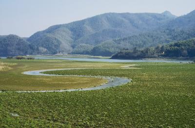 【崇阳美文】阿杜：崇阳十里画廊——洪下湾