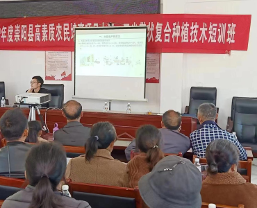 崇阳县金塘镇：农技进乡村  油产有保障