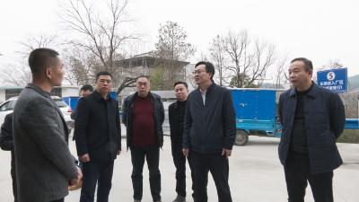 省农村寄递物流体系建设调研组到崇阳县调研指导工作