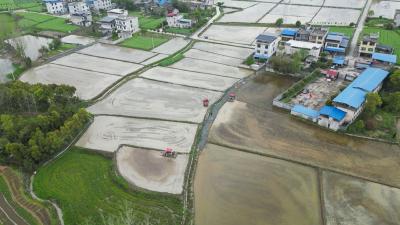 【记者乡村行（133）】崇阳县青山镇：农机奔腾  千亩稻田翻耕忙