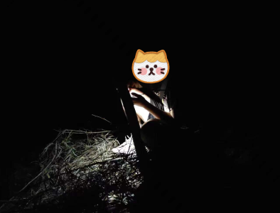 游客打卡“网红地”迷失深山  崇阳民警2小时紧急救援