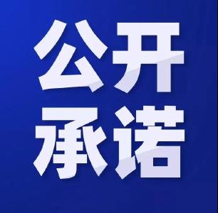 2023年度崇阳县乡镇党委书记抓基层党建工作公开承诺