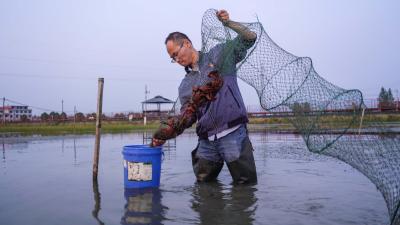 【记者乡村行（142）】沈勇亮：硕士“新农人” 筑梦田野里