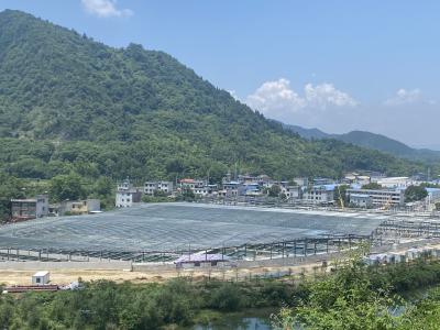“青山现代鲟鱼产业园开始招工了！”