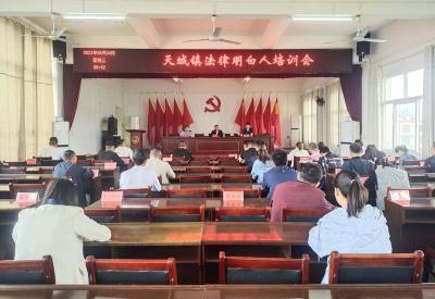 崇阳县天城镇：送法进乡镇  普法入人心