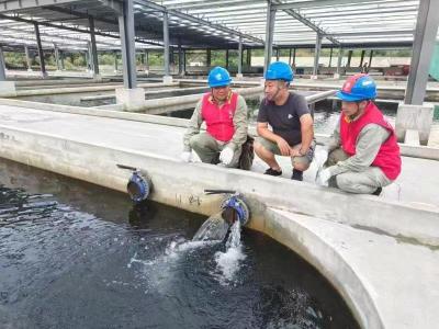 用电无忧    600吨鲟鱼“游”进崇阳县青山现代鲟鱼产业园