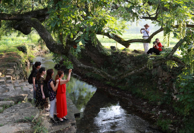 清凉一夏！崇阳新增4条直达“露天泳池”公交专线