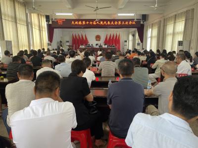 崇阳县天城镇召开第十七届人民代表大会第三次会议