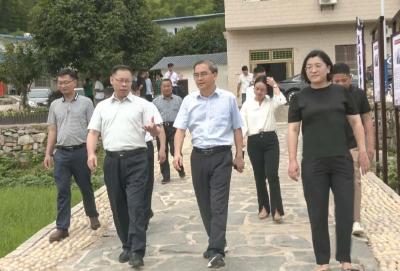 朱庆刚到崇阳县调研竹产业发展、共同缔造工作