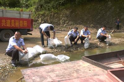增殖放流！1200万尾鱼苗跃入崇阳县青山水库