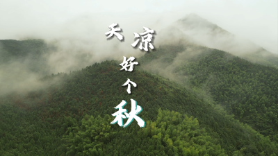 【微视】青峰浮云卷 山中好乘凉