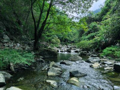 【桃溪文艺】陈迪新：邂逅清水岩