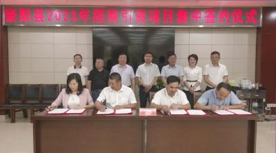 崇阳8个项目集中签约 合同金额达23.6亿元