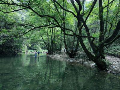 【桃溪文艺】杨昀琰：溯溪戏水青峰港，哟呵