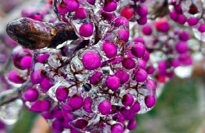 崇阳：好仙！这里被冬天施了“魔法”