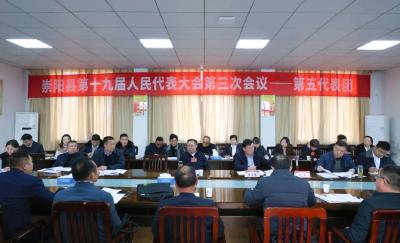 县人大代表分团审议《崇阳县人民政府工作报告》和大会各项报告