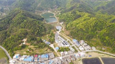 【桃溪文艺】宋景明：年关至 乡愁成念