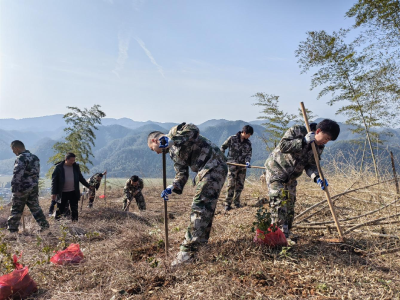 崇阳县桂花泉镇：春暖三月学雷锋  植树增绿我先行