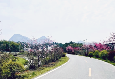 崇阳县桥头村：邀你共赏春日美景