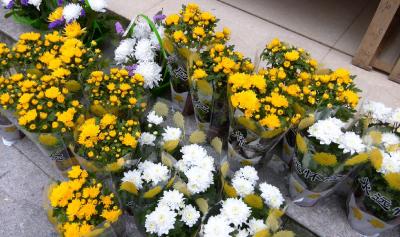 【桃溪文艺】吴梅芳：清明