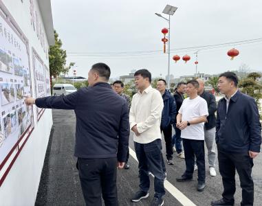 徐望到白霓镇调研时强调：推进特色产业发展 提升基层治理水平 共同缔造和美乡村