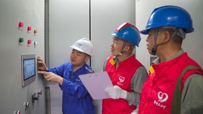 国网咸宁供电公司对光伏电站开展综合“体检”
