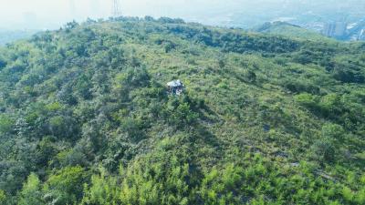 【桃溪文艺】李春：面壁大集山