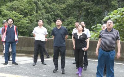 徐望到高枧乡调研督导地质灾害防治工作