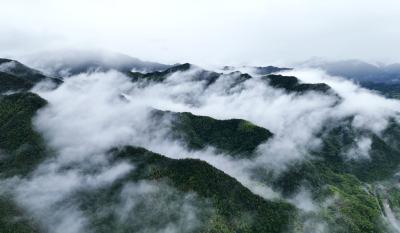 组图丨崇阳县金塘镇：雨后云海 宛如仙境