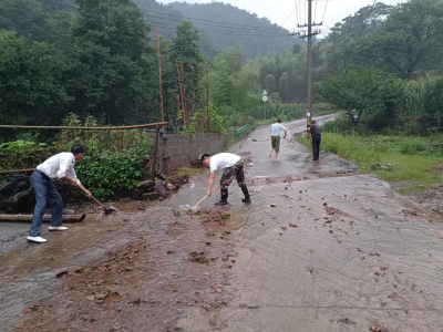 崇阳县青山镇：干群齐上阵  全力开展生产自救