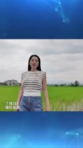 微视 | 崇阳：农机人员田间“把脉” 助力农业生产自救