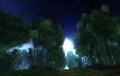 【桃溪文艺】廖瑜：竹上清风·星空