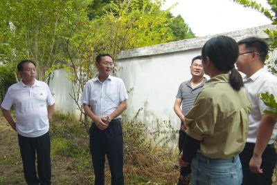市人大常委会调研组到崇阳县调研督办市人大重点建议办理工作
