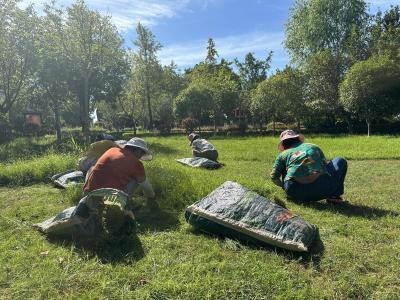 崇阳县园林绿化服务中心：战高温施“凉”策  守护城市绿意