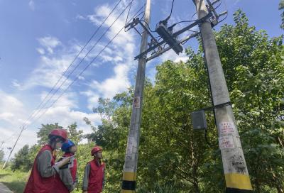 国网崇阳县供电公司：“一线一案”保障迎峰度夏供电可靠