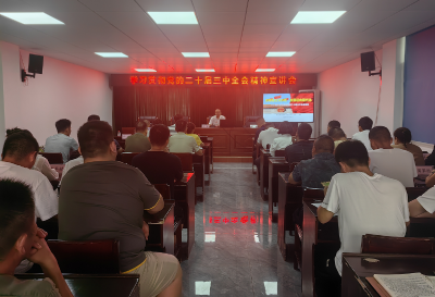 崇阳县路口镇宣讲党的二十届三中全会精神