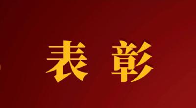 全国表彰！崇阳1人上榜