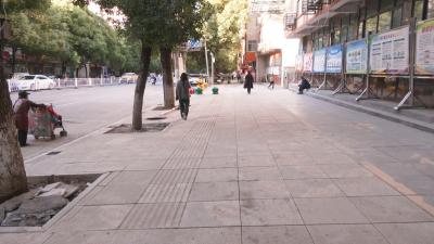 崇阳：树根“拱坏”人行道  城管除障保畅通