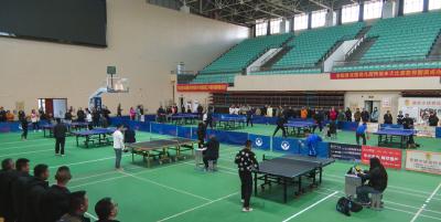 “乒”至无憾，搏出精彩！2024年崇阳县职工乒乓球锦标赛圆满落幕
