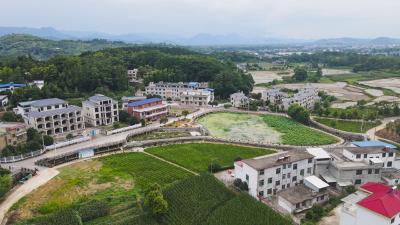 【桃溪文艺】陈启兵：一个村湾的缔造与统战