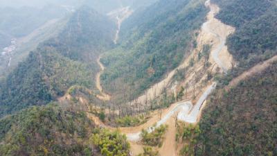 代表议案办理④│筑牢“绿色屏障”  守护生态安全