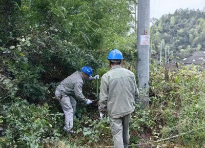 国网崇阳县供电公司全力备战迎峰度冬